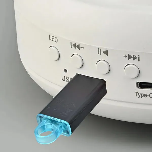 Hot Sale -Northern Lights Projector